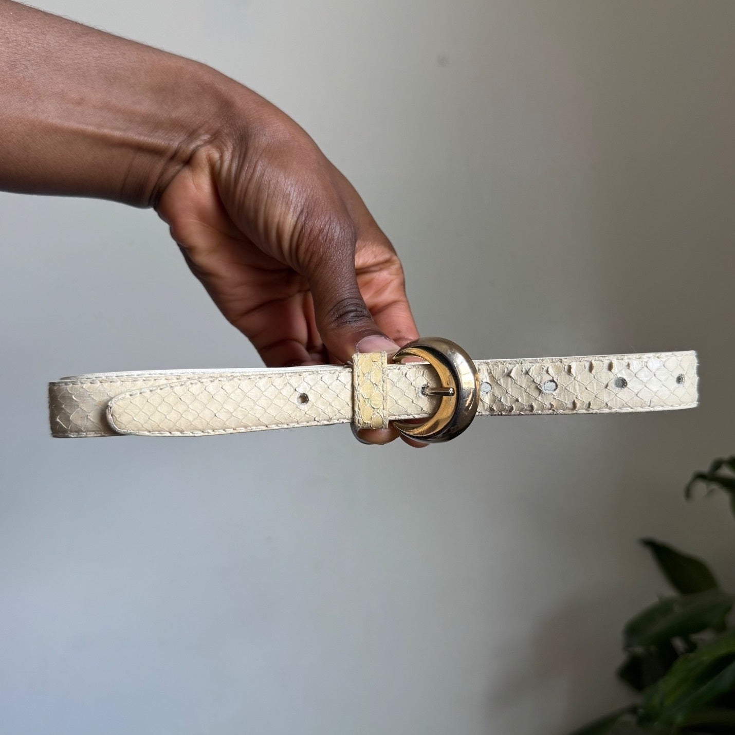 Vintage 80s DAME Genuine Snakeskin Belt Cream Ivory Gold Buckle Size M