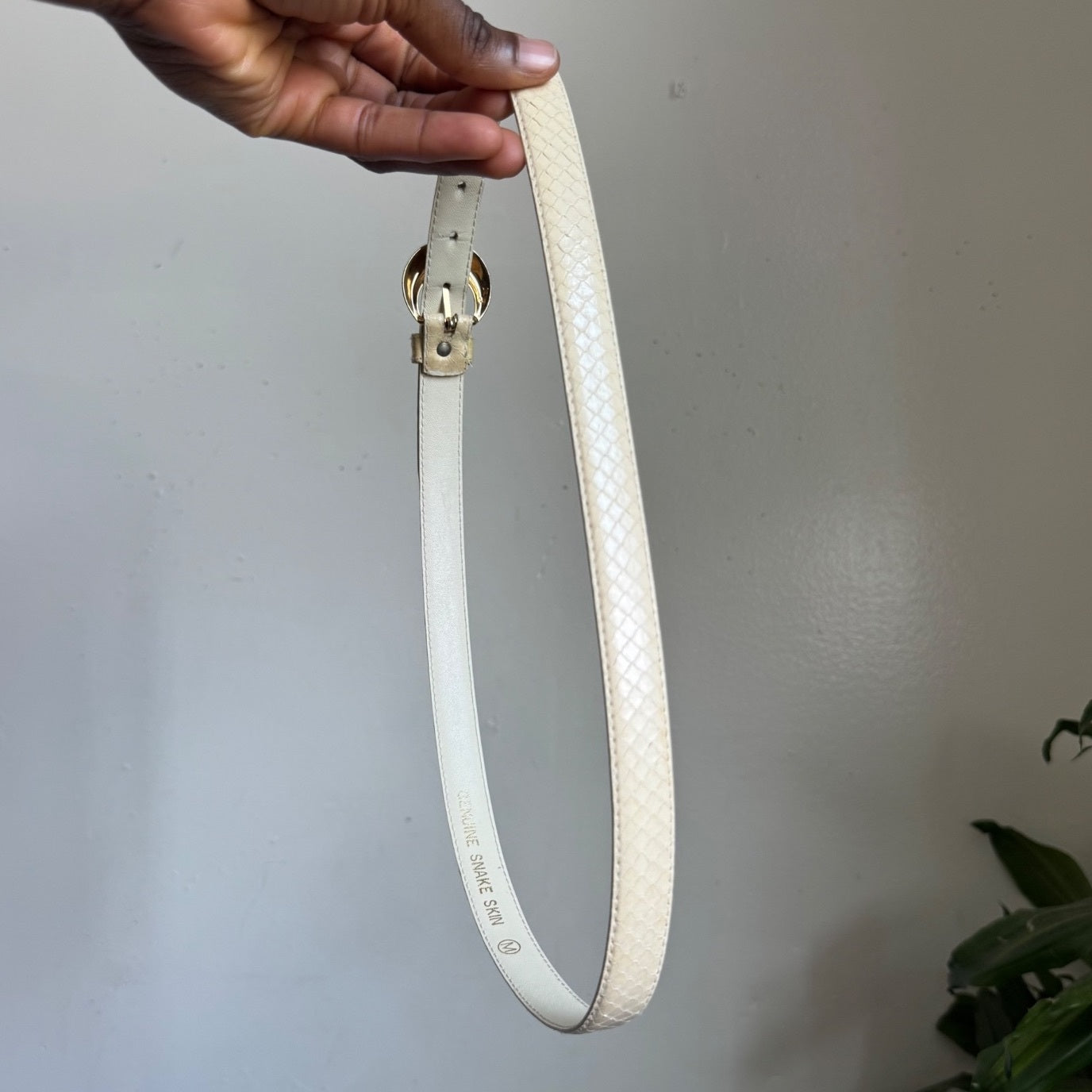 Vintage 80s DAME Genuine Snakeskin Belt Cream Ivory Gold Buckle Size M